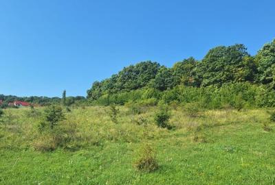 Teren in Chinteni langa padure 1425mp front 70ml - 2