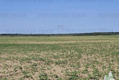 Teren de 219413 mp, în Florești - 3