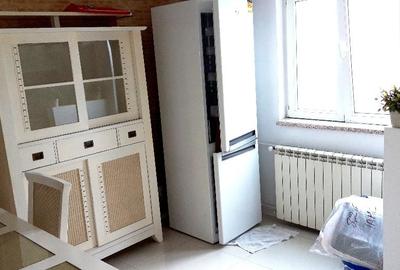 Iancului, 3 minute metrou. Mihai Bravu, stradal - 2