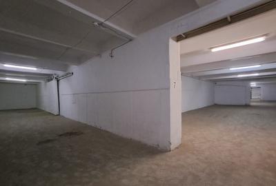 Spatiu sup.500 mp depozitare/productie Calea Baciului - 4