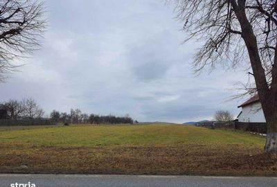 Teren de 7000 mp, în Agapia - 4