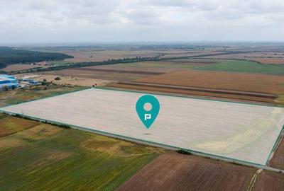 Teren extravilan 5 hectare ( zona industriala ) ?ag - 17