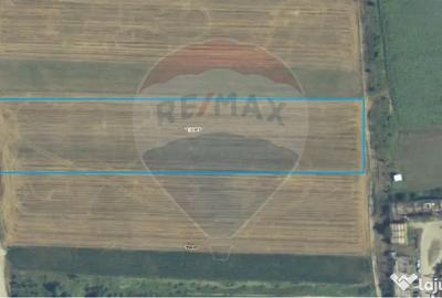 Teren de 6200 mp, în Slătioara - 2