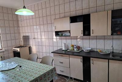 OFERTA in Bacia, Hunedoara ! Proprietate 2 case + Cabana + Livada - 4