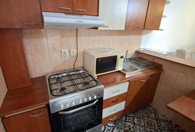 Apartament cu 1 cameră,decomandat, PET FRIENDLY, zona Podu de Piatra - 3