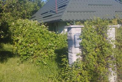 Casă cu 2 camere în Buciumi - 2