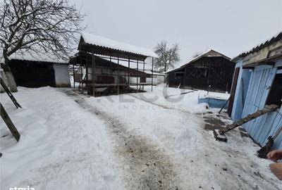 Casă cu 4 camere cu Teren 4000 Mp în Cociuba Mare - 11
