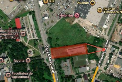 Teren 6345mp Calea Aradului Pretabil Spital/Scoala/Sala evenimente Teren 6345mp Calea Aradului Pretabil Spital/Scoala/Sala evenimente - 3
