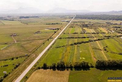 Teren extravilan Lunca Calnicului langa E574 - 6