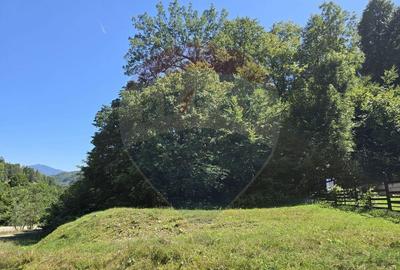 Teren de 4000 mp, în Păscoaia - 3