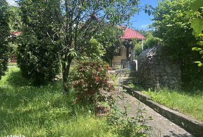 Casă cu 2 camere în Negulești - 5