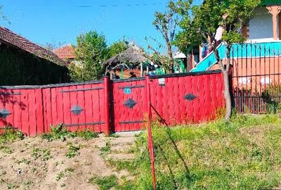Casă în Suceveni - 1