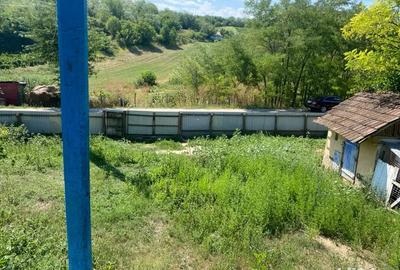 Casa batraneasca de vanzare - 2