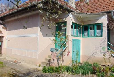 Casă cu 4 camere în Vad - 3