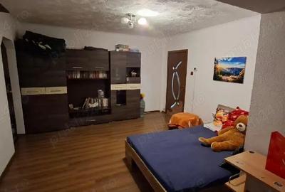 Apartament cu 2 camere semidecomandat în Botizului - 2
