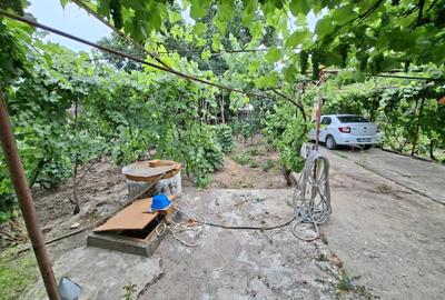 Casă cu 4 camere în Obrejița - 8