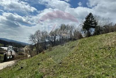 Teren generos, dar ieftin, in Namae?ti - Arge? - 8