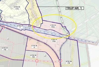Teren Construcții intravilan de 44200 mp, în Vințu de Jos - 7