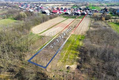 Casă cu 3 camere cu Teren 3724 Mp în Borlești - 20