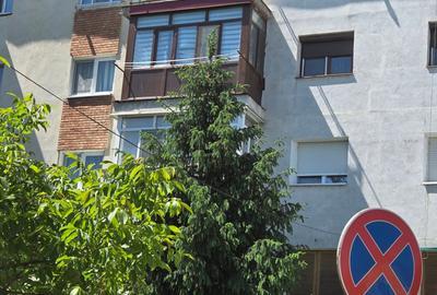 Apartament cu 3 camere decomandat în Central - 2