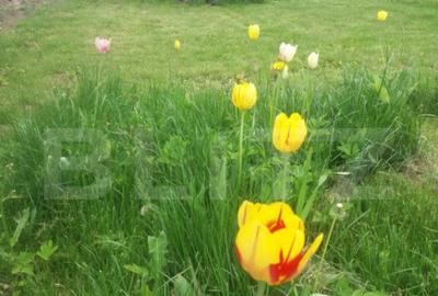 Vanzare Casa in Sacele - Locuin?a cu Teren Generos cu - 17