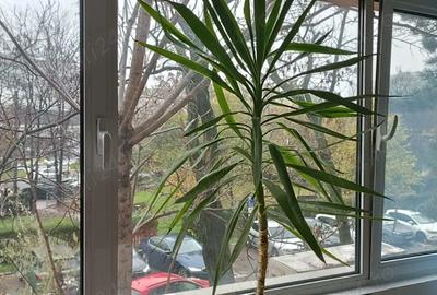 Inchiriez apt 2 camere N.Grigorescu - 1