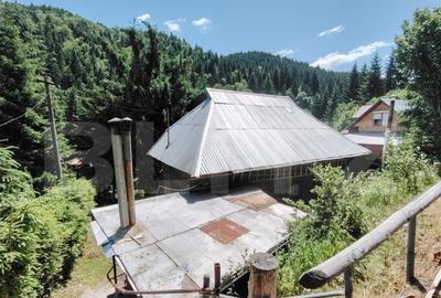 Cabana 5 camere Salard - 1