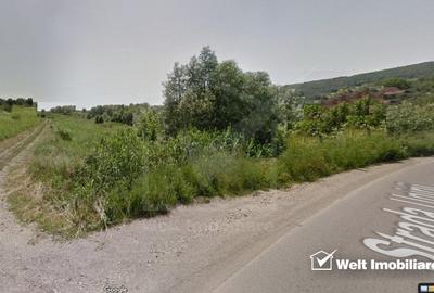 Teren 5300mp, 9 loturi, construibil, parcelat - intrare Chinteni - Unirii - 1