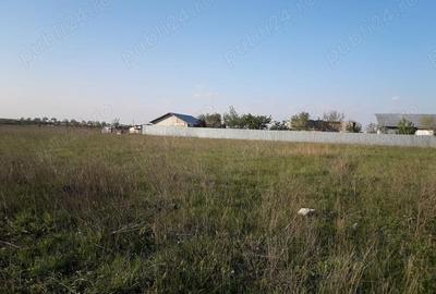 Teren de 10000 mp, în Giurgiului - 3