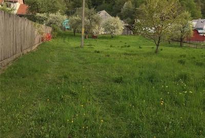 Teren de 5400 mp, în Agapia - 1
