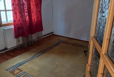 Spațiu comercial, de 240 mp, în Ștubeiu - 3