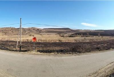 Teren de 800 mp, în Voiniceni - 4