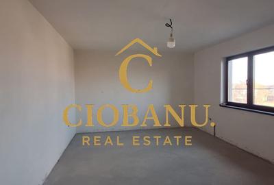 Casa de vanzare zona Damila-Capsunarie - 12