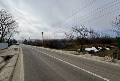 Casă cu 4 camere cu Teren 7727 Mp în Blidari (Cârligele) - 3