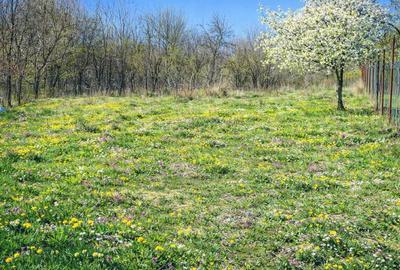 Casă cu 4 camere în Ciurila - 7