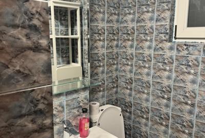 Apartament cu 3 camere decomandat, mobilat în Tudor Vladimirescu - 16