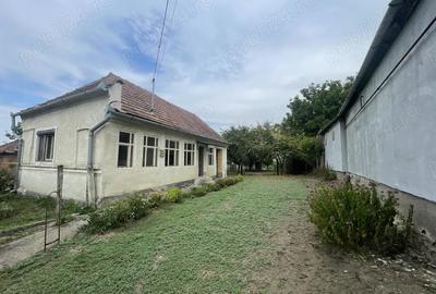 Casa cu gradina Petrisat - 4