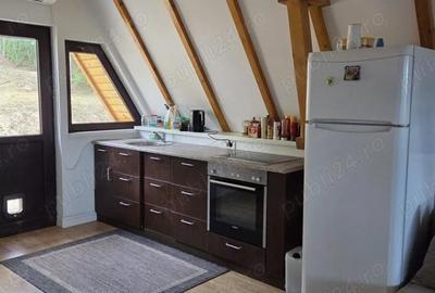 Casă cu 3 camere cu Teren 2500 Mp în Găiseanca - 4