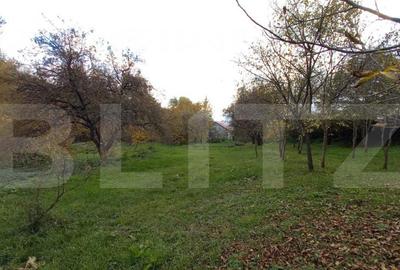 Teren de 1000 mp, în Ciurila - 1