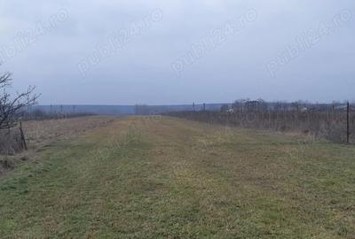 Teren în Stolnici - 1