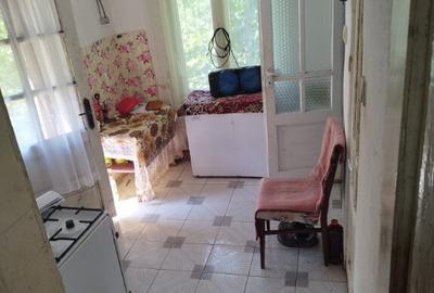 Dealul Florilor, casa 75 ari teren - 8