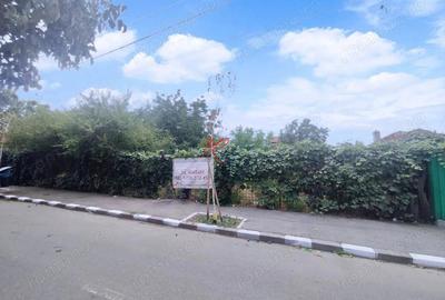 Vanzare teren Andronache, ideal vila - 2