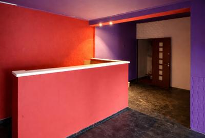 Spatiu Comercial de vanzare - 10