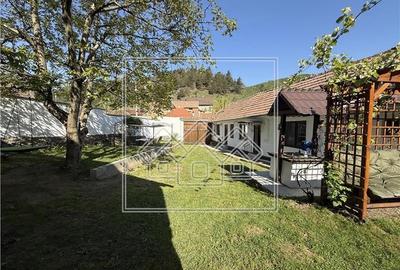 Casa individuala in Talmacel - teren 1107 mp, mobilata - 8