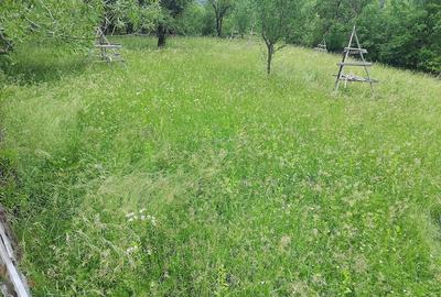 Teren de 1200 mp, în Valea Doftanei - 6