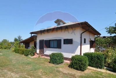 Teren 1944 mp + Casa - 65 mp, Darasti-Vlasca Giurgiu/ 20 ... - 2