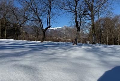 Teren Construcții intravilan de 763 mp, în Bran - 2