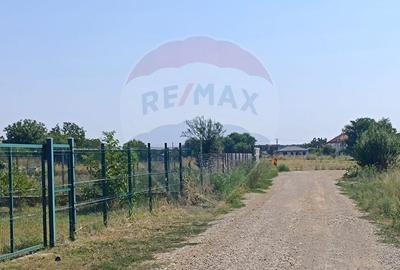 Teren 650mp Ghermanesti / Strada Milcov - 6