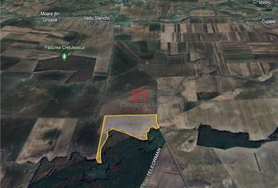 Teren agricol Corbii Mari, Dambovita - 5