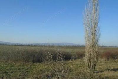 Teren extravilan cota parte 1/6 Odobesti, ID: R2878573 - 1